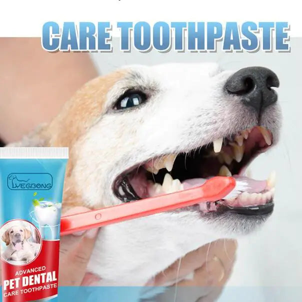 Edible Pet Toothpaste for Fresh Breath and Tartar Care